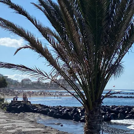 بيت للعطل Flores 1 *